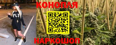 мдпв Ливны