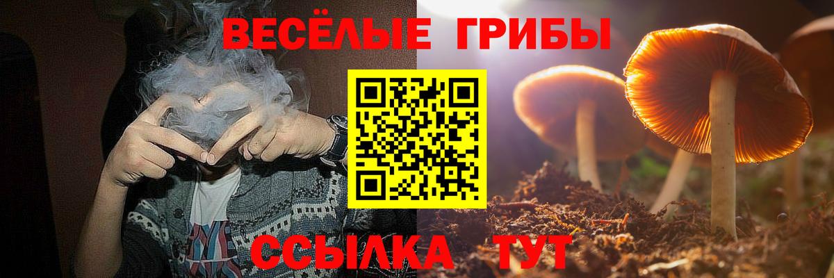 Галлюциногенные грибы прущие грибы  Галлюциногенные грибы GOLDEN TEACHER  Вход с VPN  Дагестанские Огни 